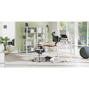 Leitz Ergo Gris Leitz Ergo Gris