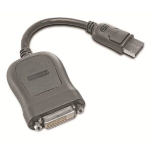 Lenovo 45J7915 adaptador de cable de vídeo 0,2 m DVI-D DisplayPort