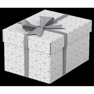 Esselte 628280 caja de almacenaje Rectangular Cartón Blanco Esselte 628280 caja de almacenaje Rectangular Cartón Blanco