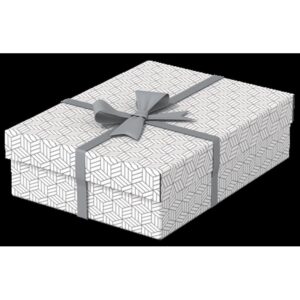 Alternative view of Esselte 628284 caja de almacenaje Rectangular Cartón Blanco