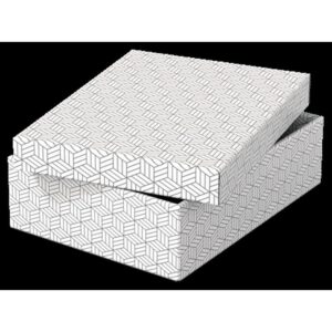 Esselte 628284 caja de almacenaje Rectangular Cartón Blanco Esselte 628284 caja de almacenaje Rectangular Cartón Blanco