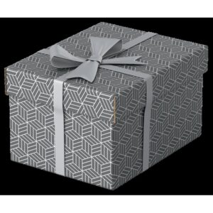 Alternative view of Esselte 628281 caja de almacenaje Rectangular Cartón Gris