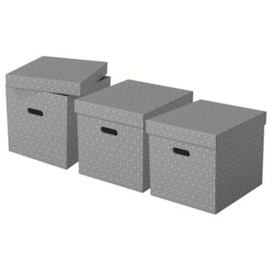 Esselte 628289 caja de almacenaje Rectangular Cartón Gris Esselte 628289 caja de almacenaje Rectangular Cartón Gris