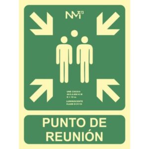 SEÑAL "PUNTO DE REUNIÓN" 224X300 PVC VERDE ARCHIVO 2000 6170-07H VE