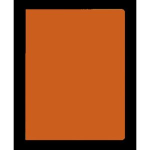 SUBCARPETA SIMPLES INTENSAS 250 GRS FOLIO COLOR NARANJA GIO 400040653 | PACK 50 UNIDADES