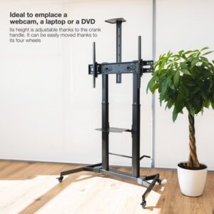 TooQ ZEUS 2,54 m (100") Negro TooQ ZEUS 2,54 m (100") Negro