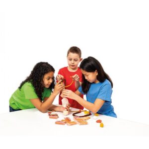 BANDEJA PLASTILINA 6 PASTILLAS 50GR COLORES SURTIDOS GAMA MULTICULTURAL JOVI 70/6M