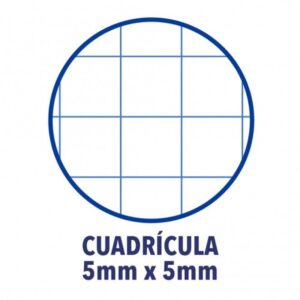 CUADERNO EUROPEANBOOK 1 TAPA EXTRADURA A4+ 80 HOJAS 5X5 COLOR FUCSIA OXFORD 100430270 | PACK 5 UNIDADES