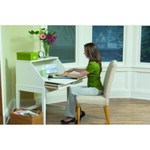 CIZALLA A4 NEUTRON PLUS FELLOWES 5410101