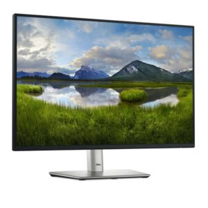 DELL P Series P2425E pantalla para PC 61,1 cm (24.1") 1920 x 1200 Pixeles WUXGA LCD Negro