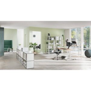 Leitz Active Sitzball 55cm Gris Interior Esférico
