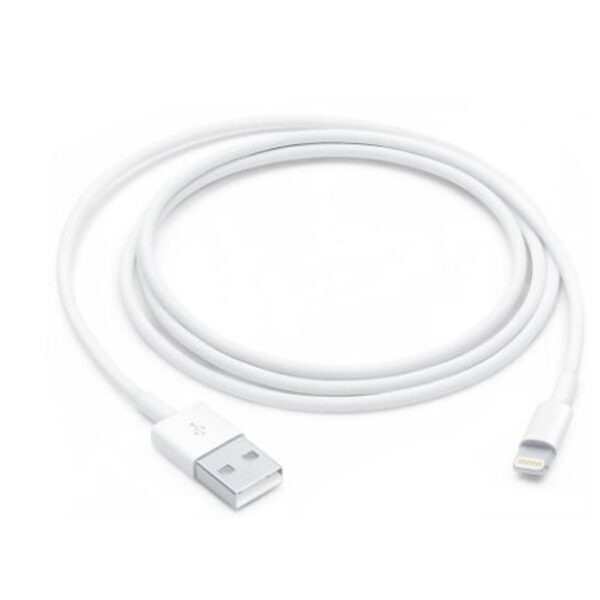 Lightning To USB Cable 1 M