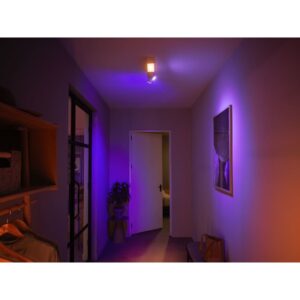 Philips Hue White and Color ambiance Plafón Centris de dos focos