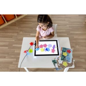 TRANSLUCENT MATH TURTLES MINILAND 32161