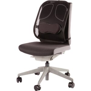 Fellowes 8029901 soporte lumbar para respaldos Grafito Fellowes 8029901 soporte lumbar para respaldos Grafito