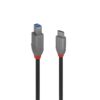 Lindy 36666 cable USB 1 m USB 3.2 Gen 1 (3.1 Gen 1) USB C USB B Negro