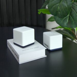 AC1900 HOME MESH WI-FI SYSTEM
