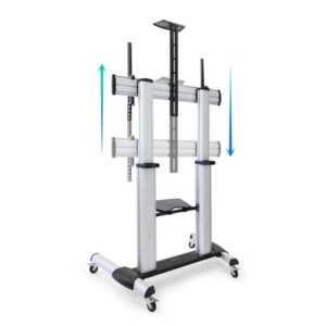 TooQ Partenón 2,54 m (100") Plata