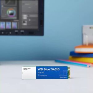 WD SSD Blue SA510 1TB M.2 SATA Gen3