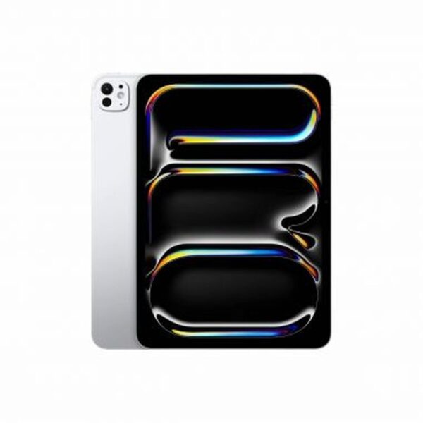 iPad Pro M4 11" WiFi Cell 256GB Silver