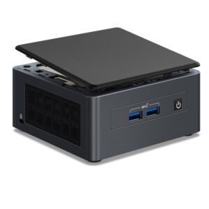 Intel NUC 11 Pro UCFF Negro i7-1165G7
