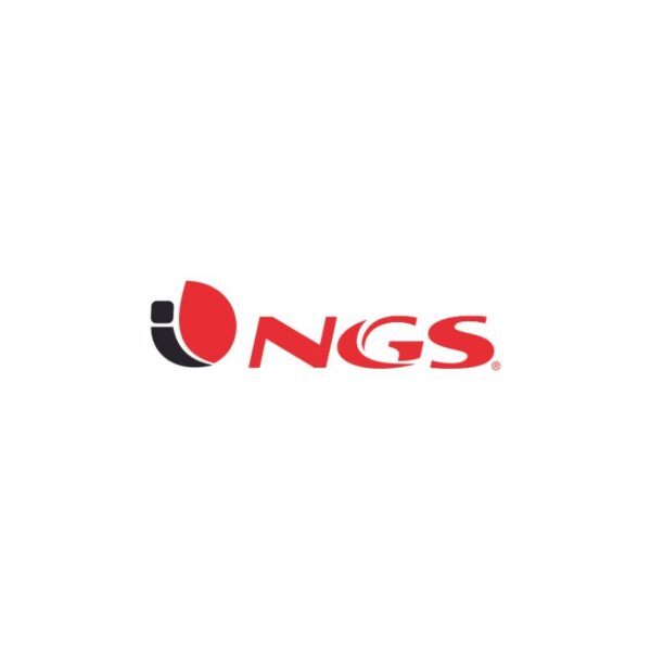 NGS FORTRESS 2000 V2 sistema de alimentación ininterrumpida (UPS) En espera (Fuera de línea) o Standby (Offline) 1,5 kVA 900 W 4 salidas AC