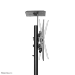 Neomounts by Newstar Soporte de suelo móvil para TV Neomounts by Newstar Soporte de suelo móvil para TV