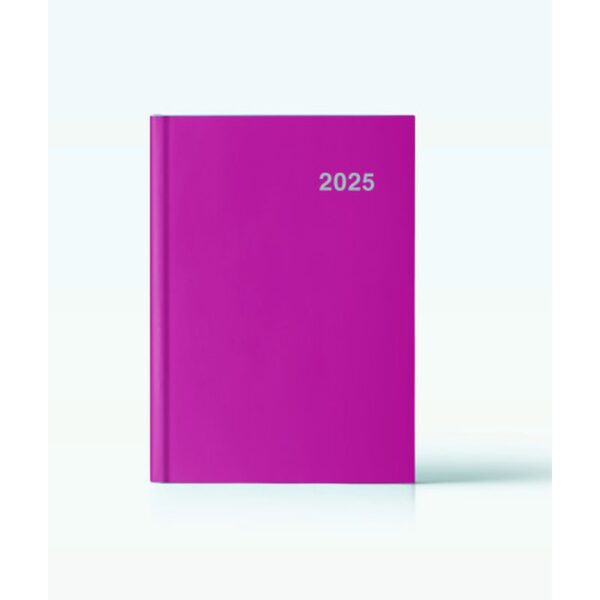 AGENDA 2025 PARIS DIA/PAGINA 15X21 FUCSIA CASTELLANO INGRAF 355415