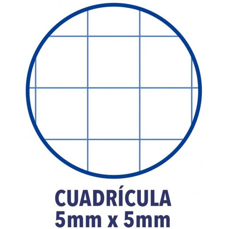 BLOC ESPIRAL OXFORD TAPA EXTRADU | PACK 5 UNIDADES - Imagen 4