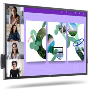 DELL P5524QT Panel plano interactivo 139,7 cm (55") LCD 350 cd / m² 4K Ultra HD Negro Pantalla táctil