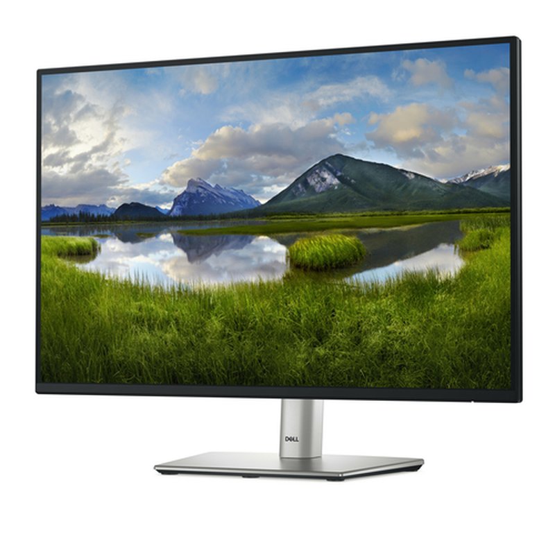 DELL P Series P2425 pantalla para PC 61,1 cm (24.1") 1920 x 1200 Pixeles WUXGA LCD Negro - Imagen 2