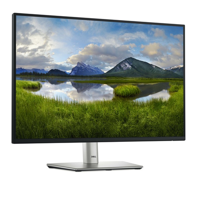 DELL P Series P2425 pantalla para PC 61,1 cm (24.1") 1920 x 1200 Pixeles WUXGA LCD Negro - Imagen 3