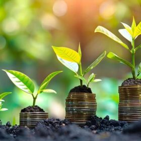 Estrategia y rendimiento de negocio