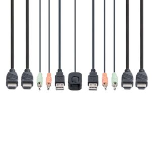 StarTech.com C2-DH46-UA2-CBL-KVM interruptor KVM Negro