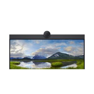 DELL P Series P2424HEB pantalla para PC 60,5 cm (23.8") 1920 x 1080 Pixeles Full HD LCD Negro