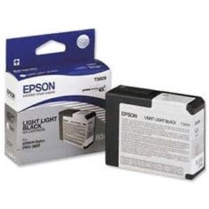 Epson Cartucho T580900 gris claro