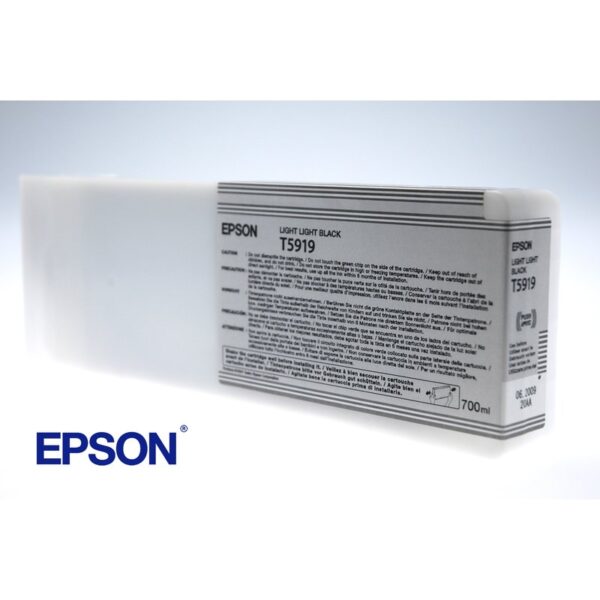 Epson Cartucho T591900 gris claro