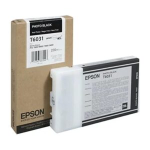 Epson Cartucho T603100 negro foto