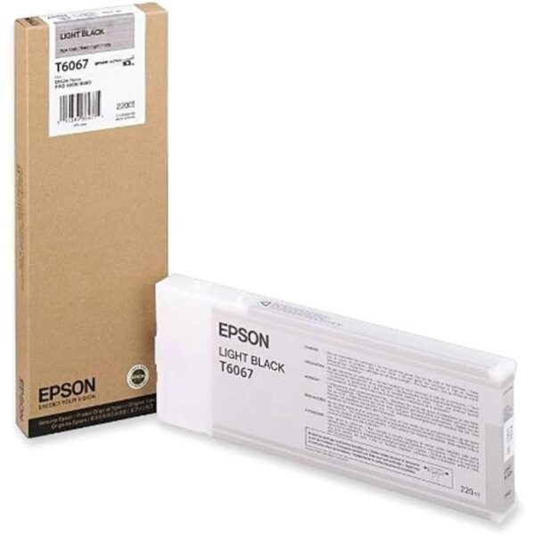 Epson Cartucho T606700 gris