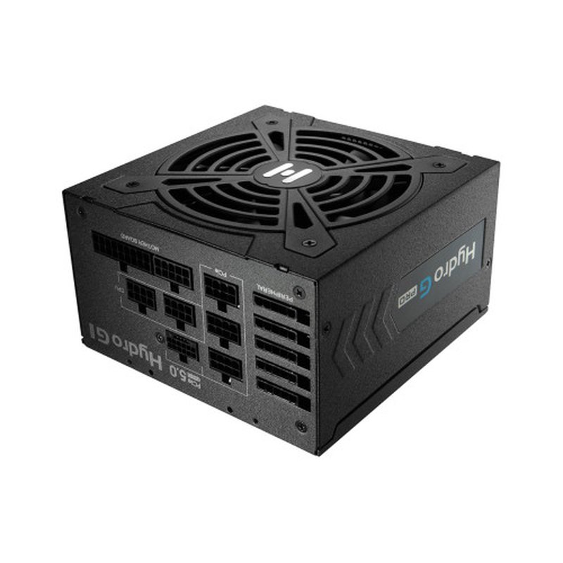 FSP Hydro G PRO ATX3.0(PCIe5.0) 1000W unidad de fuente de alimentación 20+4 pin ATX ATX Negro - Imagen 3