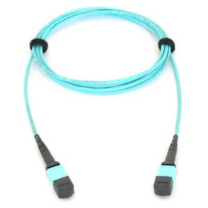 Allied Telesis AT-MTP12-5 cable de fibra optica 5 m MTP