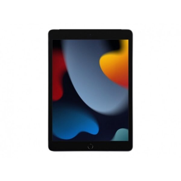 iPad Wi-Fi Cl 256GB Spg