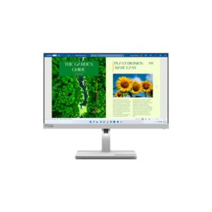 Lenovo L24m-40 pantalla para PC 60,5 cm (23.8") 1920 x 1080 Pixeles Full HD LED Gris