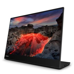 Lenovo ThinkVision M14t pantalla para PC 35,6 cm (14") 2240 x 1400 Pixeles LED Pantalla táctil Negro