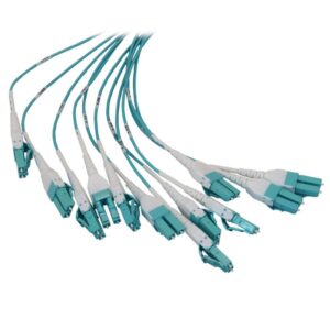 Tripp Lite N48M-2L24L-10 panel de parcheo 1U