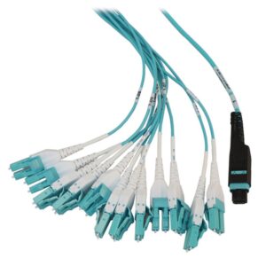 Tripp Lite N48M-2M24L12-20 panel de parcheo 1U