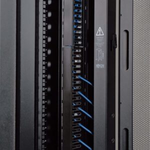 Tripp Lite SR42UBDP48 Rack para Servidor de Profundidad Adicional Smartrack de 42U - 1219 mm [48"] de Profundidad, Puertas Y Paneles Laterales Incluidos