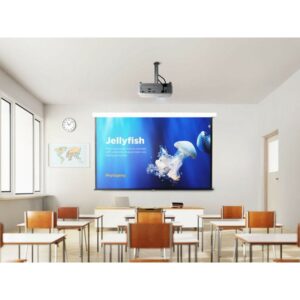 Viewsonic PA504W videoproyector Proyector de alcance estándar 4000 lúmenes ANSI DLP WXGA (1280x800) Blanco