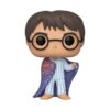 Funko Pop Harry Potter Harry Potter