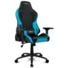 SILLA GAMING DRIFT DR250 NEGRO/AZUL SILLA GAMING DRIFT DR250 NEGRO/AZUL